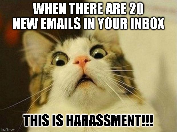 Scared Cat Meme | WHEN THERE ARE 20 NEW EMAILS IN YOUR INBOX; THIS IS HARASSMENT!!! | image tagged in memes,scared cat | made w/ Imgflip meme maker