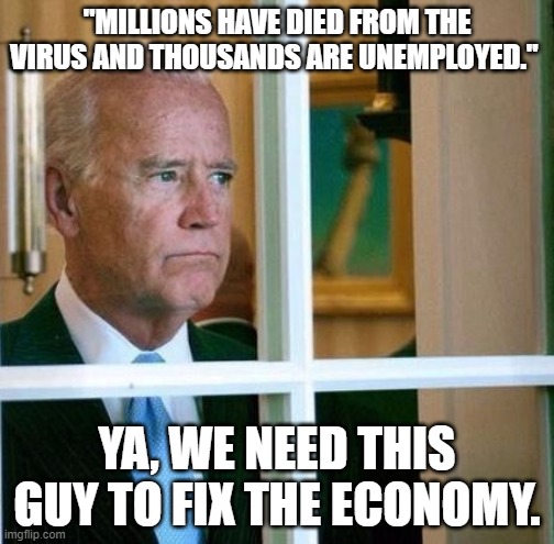 Sad Joe Biden | "MILLIONS HAVE DIED FROM THE VIRUS AND THOUSANDS ARE UNEMPLOYED."; YA, WE NEED THIS GUY TO FIX THE ECONOMY. | image tagged in sad joe biden | made w/ Imgflip meme maker