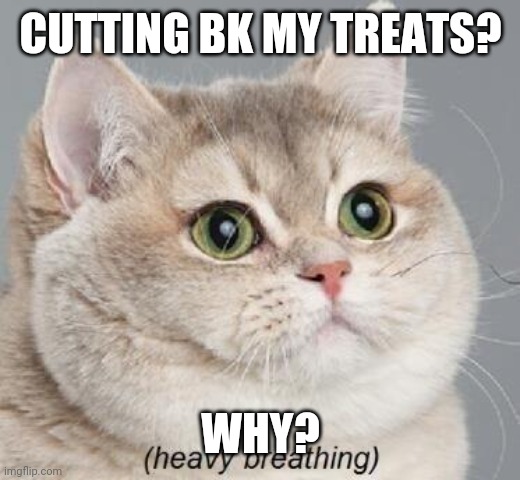 Heavy Breathing Cat | CUTTING BK MY TREATS? WHY? | image tagged in memes,heavy breathing cat | made w/ Imgflip meme maker