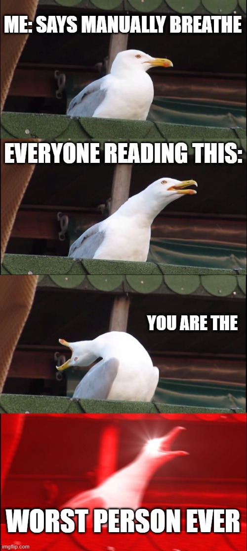 Inhaling Seagull Meme | ME: SAYS MANUALLY BREATHE; EVERYONE READING THIS:; YOU ARE THE; WORST PERSON EVER | image tagged in memes,inhaling seagull | made w/ Imgflip meme maker