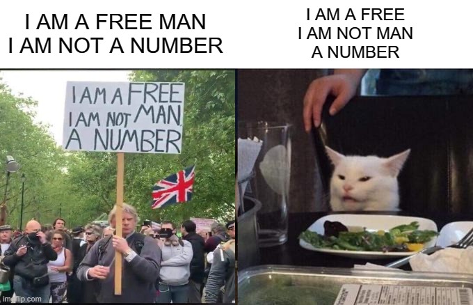 Free Man That Cat | I AM A FREE MAN
I AM NOT A NUMBER; I AM A FREE
I AM NOT MAN
A NUMBER | image tagged in memes,woman yelling at cat | made w/ Imgflip meme maker