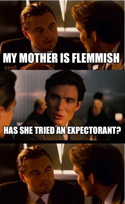 Inception | MY MOTHER IS FLEMMISH; HAS SHE TRIED AN EXPECTORANT? | image tagged in memes,inception | made w/ Imgflip meme maker