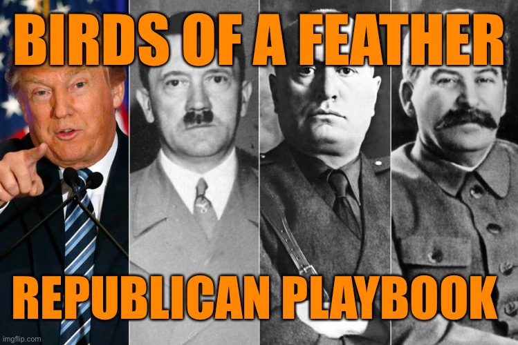 BIRDS OF A FEATHER REPUBLICAN PLAYBOOK | made w/ Imgflip meme maker