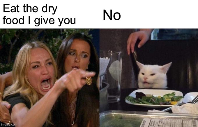 Woman Yelling At Cat Meme | Eat the dry food I give you; No | image tagged in memes,woman yelling at cat | made w/ Imgflip meme maker