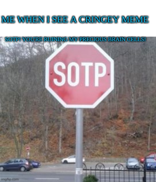 Please just sotp it xD | ME WHEN I SEE A CRINGEY MEME; SOTP! YOU'RE RUINING MY PRECIOUS BRAIN CELLS! | image tagged in sotp | made w/ Imgflip meme maker