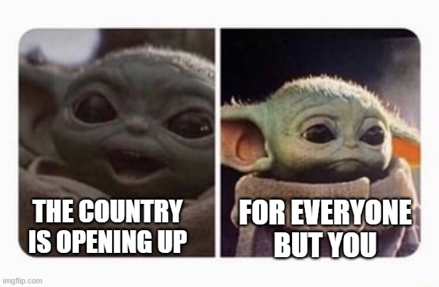 happy sad baby yoda | FOR EVERYONE BUT YOU; THE COUNTRY IS OPENING UP | image tagged in baby yoda | made w/ Imgflip meme maker