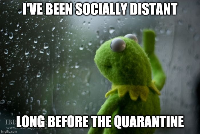 kermit window | I'VE BEEN SOCIALLY DISTANT; LONG BEFORE THE QUARANTINE | image tagged in kermit window | made w/ Imgflip meme maker