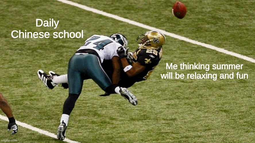 My disappointment is immeasurable | Daily Chinese school; Me thinking summer will be relaxing and fun | image tagged in nfl football,disappointment | made w/ Imgflip meme maker