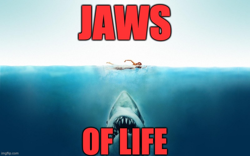 Jaws | JAWS; OF LIFE | image tagged in jaws | made w/ Imgflip meme maker