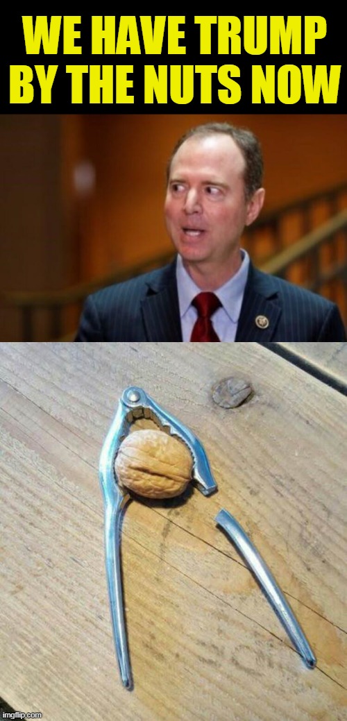 tough nuts | WE HAVE TRUMP BY THE NUTS NOW | image tagged in adam schiff,nuts,politics,bullcrap,fake people | made w/ Imgflip meme maker