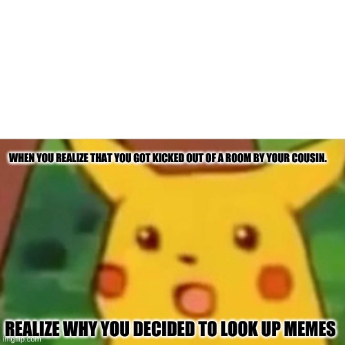 Cousin Memes | WHEN YOU REALIZE THAT YOU GOT KICKED OUT OF A ROOM BY YOUR COUSIN. REALIZE WHY YOU DECIDED TO LOOK UP MEMES | image tagged in memes,surprised pikachu | made w/ Imgflip meme maker