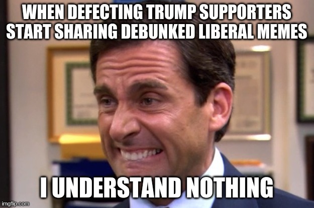 Thanks...but no thanks... | WHEN DEFECTING TRUMP SUPPORTERS START SHARING DEBUNKED LIBERAL MEMES; I UNDERSTAND NOTHING | image tagged in cringe,michael scott,trump | made w/ Imgflip meme maker