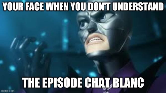 angry hawkmoth miraculous ladybug hawk moth |  YOUR FACE WHEN YOU DON'T UNDERSTAND; THE EPISODE CHAT BLANC | image tagged in angry hawkmoth miraculous ladybug hawk moth | made w/ Imgflip meme maker