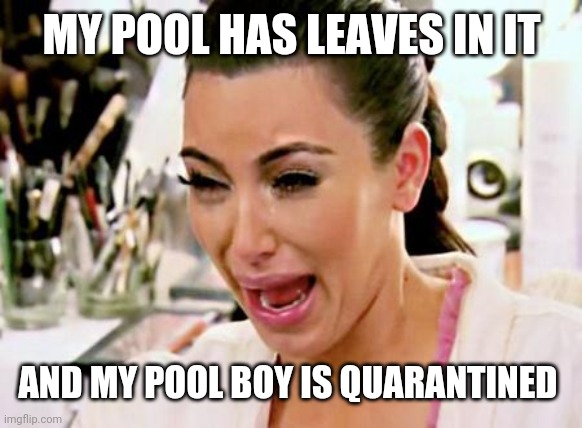 Kim Kardashian | MY POOL HAS LEAVES IN IT AND MY POOL BOY IS QUARANTINED | image tagged in kim kardashian | made w/ Imgflip meme maker