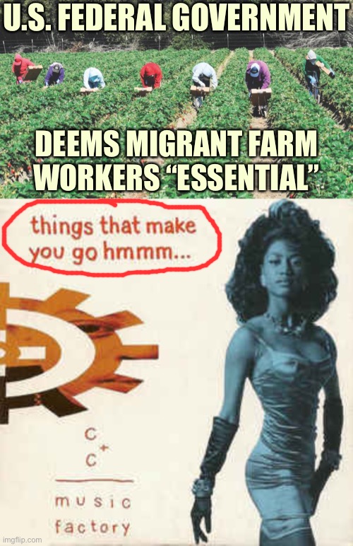 This one made should make any conservative  go hmmm. | U.S. FEDERAL GOVERNMENT; DEEMS MIGRANT FARM WORKERS “ESSENTIAL” | image tagged in migrant workers,things that make you go hmmm,illegal immigration,illegal aliens,hmmm,conservative hypocrisy | made w/ Imgflip meme maker