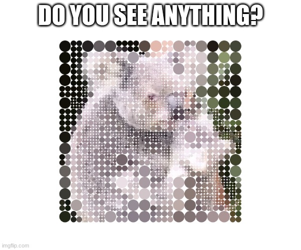 write what you see in the comments | DO YOU SEE ANYTHING? | image tagged in memes,do you see it,comments | made w/ Imgflip meme maker