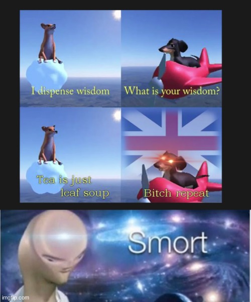 Smort | image tagged in meme man smort,memes,2020,coronavirus,dank memes,trending | made w/ Imgflip meme maker