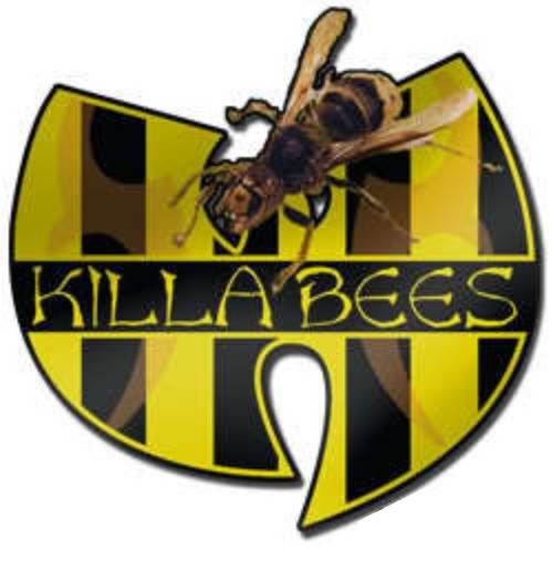 Wu Tang Murda Hornets Blank Meme Template