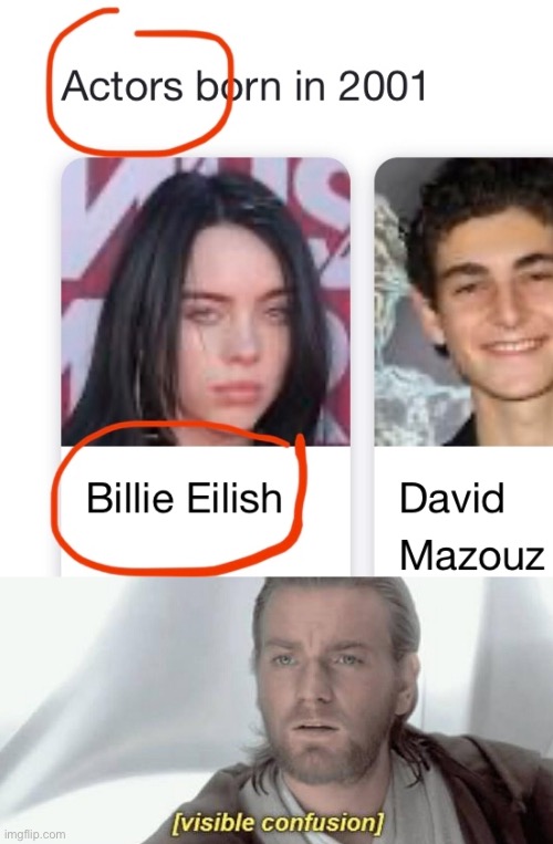 image tagged in visible confusion,billie eilish,google,google fails | made w/ Imgflip meme maker