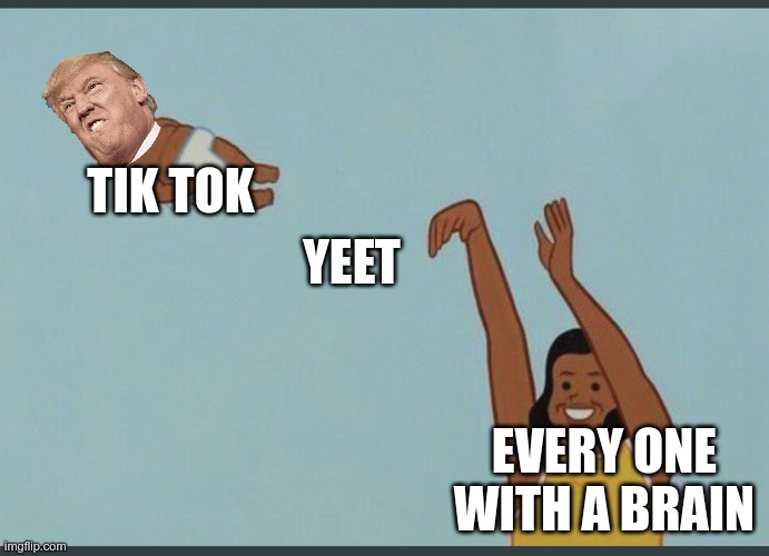 baby yeet | TIK TOK; YEET; EVERY ONE WITH A BRAIN | image tagged in baby yeet | made w/ Imgflip meme maker