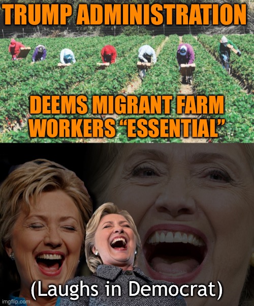 Turns out those who pick fresh vegetables and help keep our supermarkets stocked are “essential” after all — who knew? | TRUMP ADMINISTRATION; DEEMS MIGRANT FARM WORKERS “ESSENTIAL”; (Laughs in Democrat) | image tagged in migrant workers,hillary clinton laughing,illegal immigration,illegal aliens,trump administration,covid-19 | made w/ Imgflip meme maker