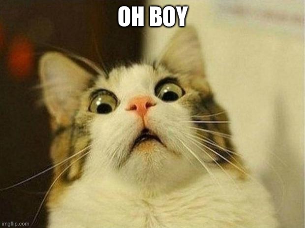 Scared Cat Meme | OH BOY | image tagged in memes,scared cat | made w/ Imgflip meme maker