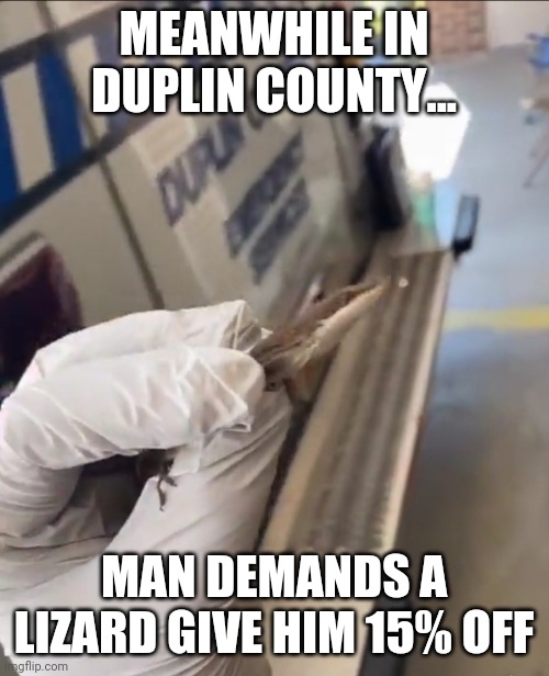 911 | MEANWHILE IN DUPLIN COUNTY... MAN DEMANDS A LIZARD GIVE HIM 15% OFF | image tagged in geico gecko | made w/ Imgflip meme maker