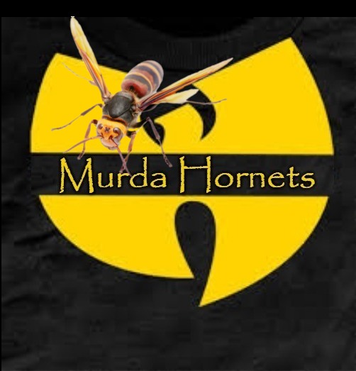 Wu Tang Murda Hornets Blank Meme Template