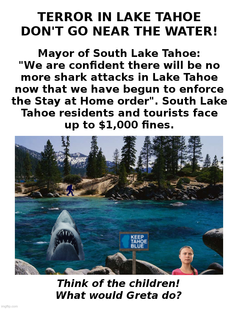 Terror In Lake Tahoe: Don't Go Near The Water! | image tagged in california,coronavirus,lockdown,bigfoot,shark,greta thunberg | made w/ Imgflip meme maker