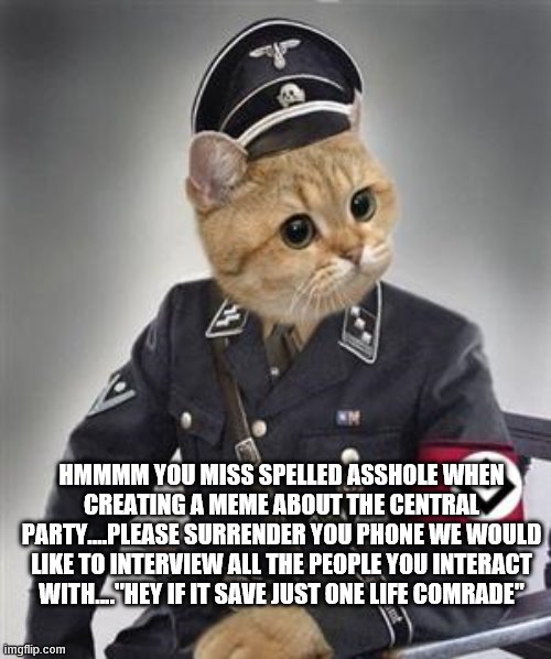 Grammar Nazi Cat | HMMMM YOU MISS SPELLED ASSHOLE WHEN CREATING A MEME ABOUT THE CENTRAL PARTY....PLEASE SURRENDER YOU PHONE WE WOULD LIKE TO INTERVIEW ALL THE | image tagged in grammar nazi cat | made w/ Imgflip meme maker