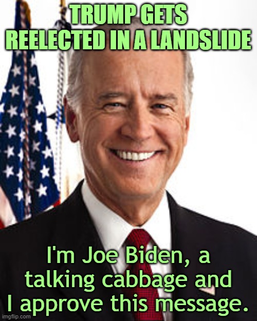 Joe Biden Meme | TRUMP GETS REELECTED IN A LANDSLIDE I'm Joe Biden, a talking cabbage and I approve this message. | image tagged in memes,joe biden | made w/ Imgflip meme maker