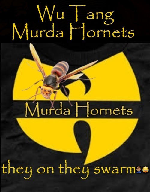 Wu Tang Murda Hornets Blank Meme Template