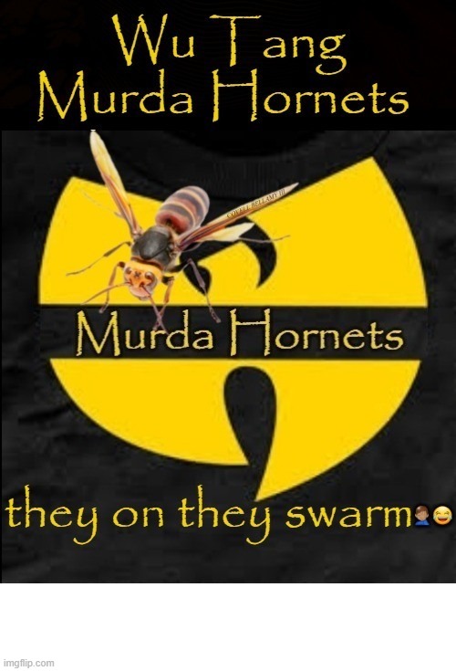 Wu Tang Murda Hornets | COVELL BELLAMY III | image tagged in wu tang murda hornets | made w/ Imgflip meme maker