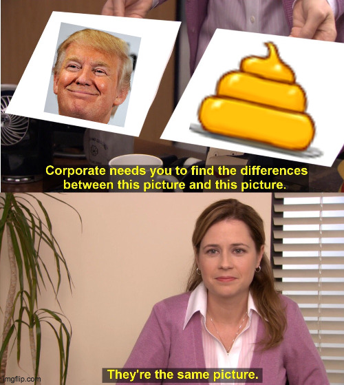 They're The Same Picture Meme | image tagged in memes,they're the same picture,orange poo trump | made w/ Imgflip meme maker