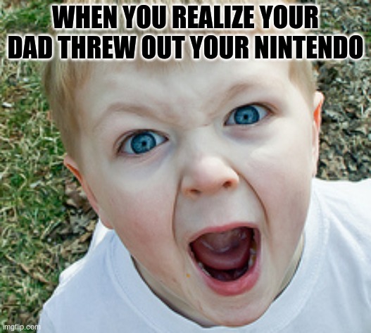 WHEN YOU REALIZE YOUR DAD THREW OUT YOUR NINTENDO | image tagged in screaming kid | made w/ Imgflip meme maker