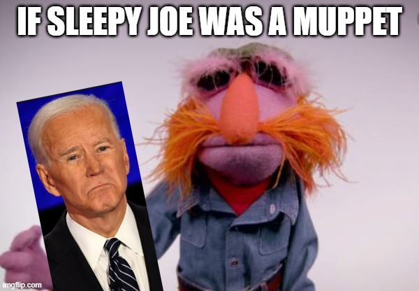 Joe and Floyd Pepper | IF SLEEPY JOE WAS A MUPPET | image tagged in joe biden,muppet | made w/ Imgflip meme maker