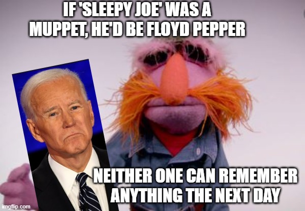 Buddies | IF 'SLEEPY JOE' WAS A MUPPET, HE'D BE FLOYD PEPPER; NEITHER ONE CAN REMEMBER ANYTHING THE NEXT DAY | image tagged in joe biden | made w/ Imgflip meme maker
