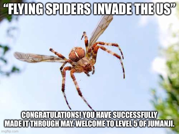 “Flying Spiders Invade the US” | “FLYING SPIDERS INVADE THE US”; CONGRATULATIONS! YOU HAVE SUCCESSFULLY MADE IT THROUGH MAY. WELCOME TO LEVEL 5 OF JUMANJI. | image tagged in funny meme | made w/ Imgflip meme maker