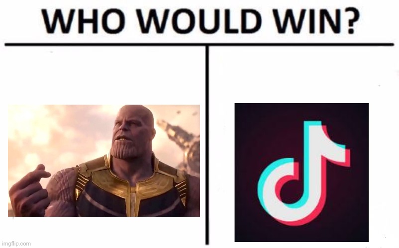 Go Thanos (we're counting on you to make Tik Tok disappear) | image tagged in memes,who would win | made w/ Imgflip meme maker