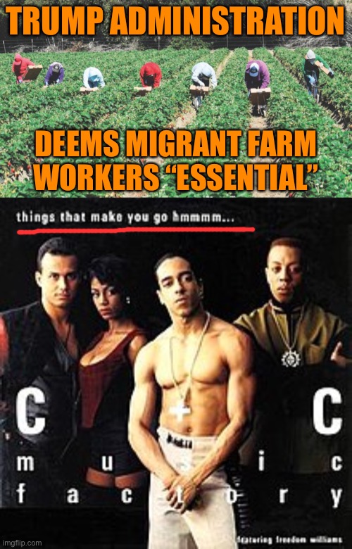 Things that make you go hmm | TRUMP ADMINISTRATION; DEEMS MIGRANT FARM WORKERS “ESSENTIAL” | image tagged in migrant workers,things that make you go hmmm,trump administration,essential,covid-19,politics lol | made w/ Imgflip meme maker