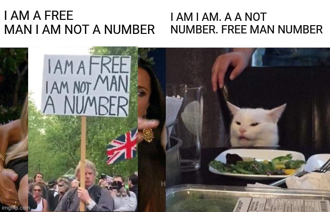 covid protest cat | I AM A FREE MAN I AM NOT A NUMBER; I AM I AM. A A NOT NUMBER. FREE MAN NUMBER | image tagged in memes,woman yelling at cat | made w/ Imgflip meme maker