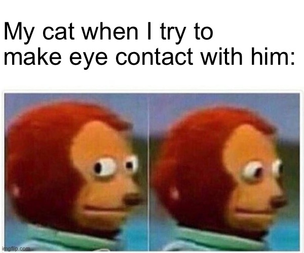 Look at me | My cat when I try to make eye contact with him: | image tagged in memes,monkey puppet,cats | made w/ Imgflip meme maker
