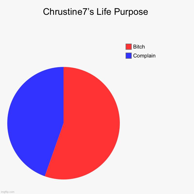 Chrustine7’s Life Purpose | Complain, Bitch | image tagged in charts,pie charts | made w/ Imgflip chart maker