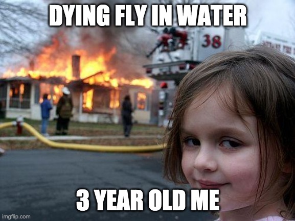 Disaster Girl Meme | DYING FLY IN WATER; 3 YEAR OLD ME | image tagged in memes,disaster girl | made w/ Imgflip meme maker