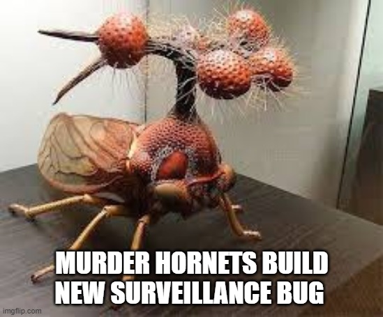 Murder Hornet | MURDER HORNETS BUILD NEW SURVEILLANCE BUG | image tagged in murder hornet,surveillance,ugly,bugs | made w/ Imgflip meme maker