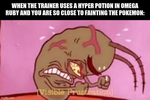 Visible Frustration | WHEN THE TRAINER USES A HYPER POTION IN OMEGA RUBY AND YOU ARE SO CLOSE TO FAINTING THE POKEMON: | image tagged in visible frustration | made w/ Imgflip meme maker
