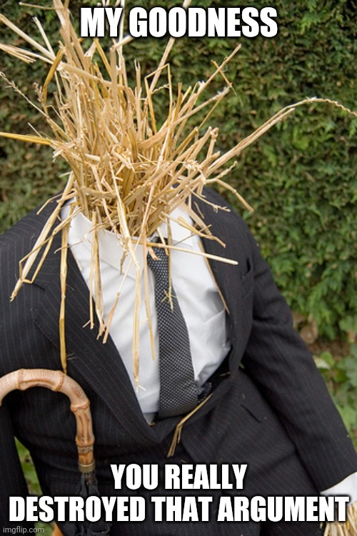 Straw Man | MY GOODNESS YOU REALLY DESTROYED THAT ARGUMENT | image tagged in straw man | made w/ Imgflip meme maker