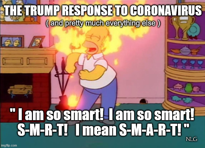 trump am so SMRT! | THE TRUMP RESPONSE TO CORONAVIRUS; ( and pretty much everything else ); " I am so smart!  I am so smart! 
S-M-R-T!   I mean S-M-A-R-T! "; NLG | image tagged in politics,political meme,political,funny,funny memes | made w/ Imgflip meme maker