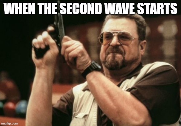 Am I The Only One Around Here | WHEN THE SECOND WAVE STARTS | image tagged in memes,am i the only one around here | made w/ Imgflip meme maker