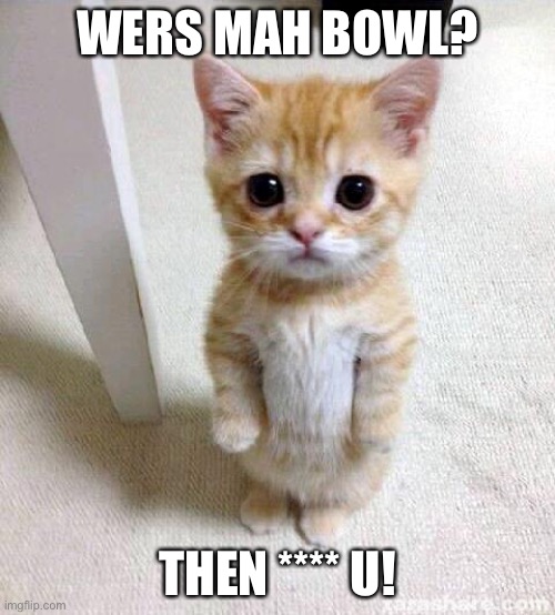 Cute Cat | WERS MAH BOWL? THEN **** U! | image tagged in memes,cute cat | made w/ Imgflip meme maker